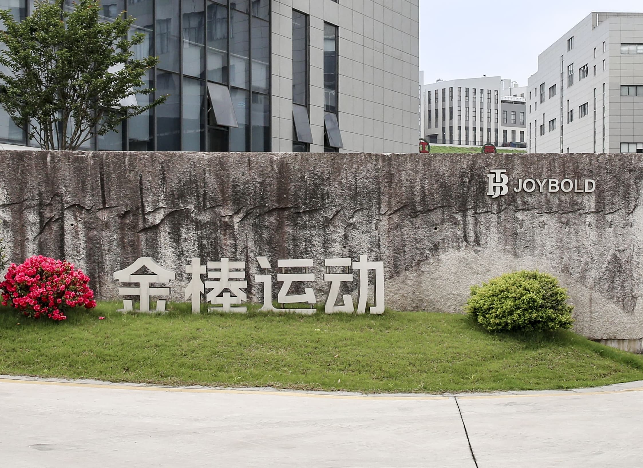 About  our company